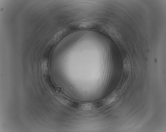 X0000073720127200608241241