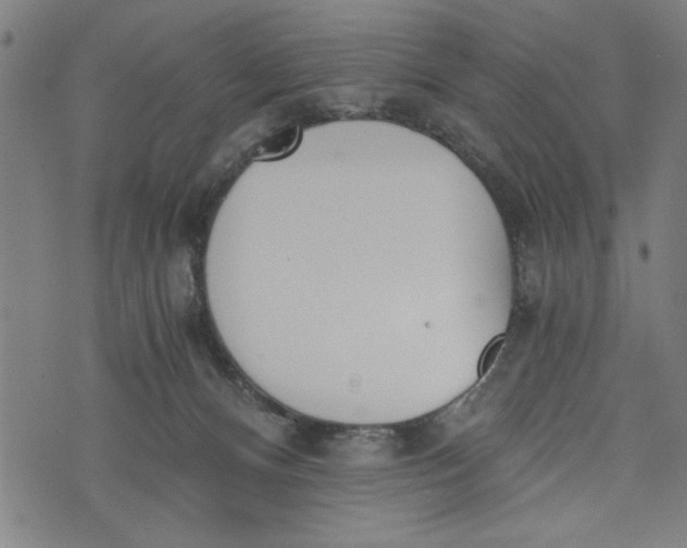 X0000073720128200608241241