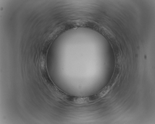 X0000073720129200608241241