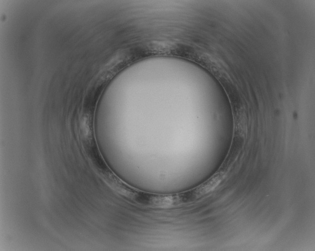 X0000073720131200608241241