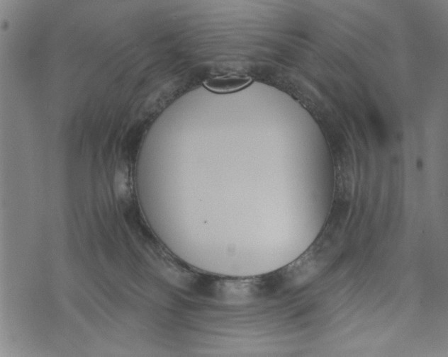 X0000073720134200608241241