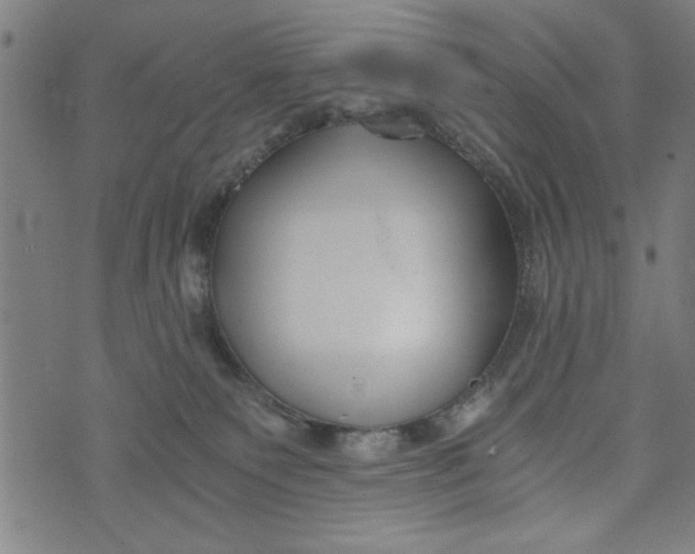 X0000073720135200608241241