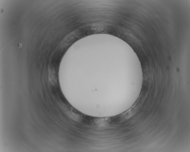 X0000073720136200608241241