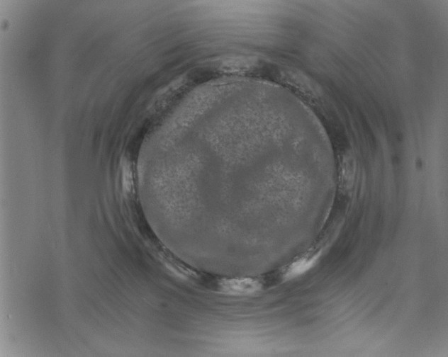 X0000073720137200608241241