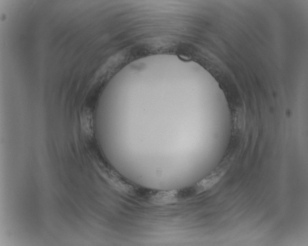 X0000073720138200608241241