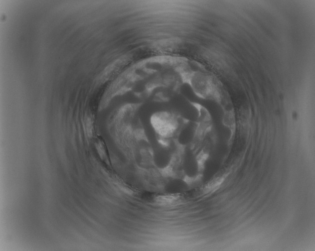 X0000073720139200608241241