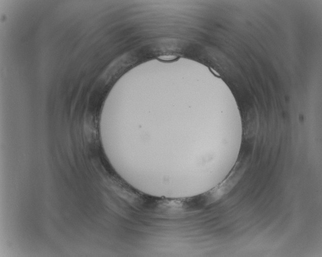 X0000073720140200608241241