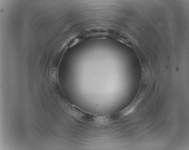 X0000073720141200608241241