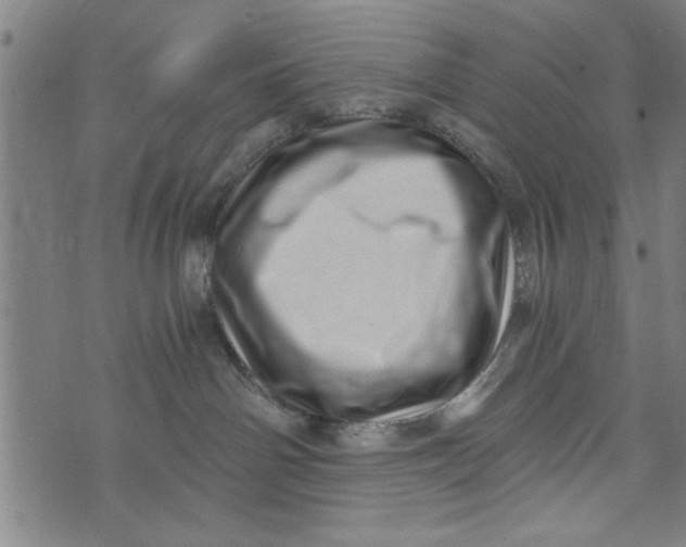 X0000073720142200608241241