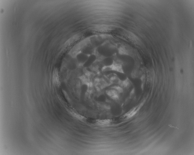 X0000073720143200608241241