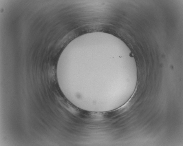 X0000073720144200608241241