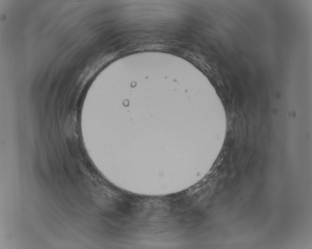 X0000073720146200608241240