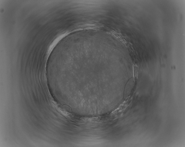 X0000073720147200608241240