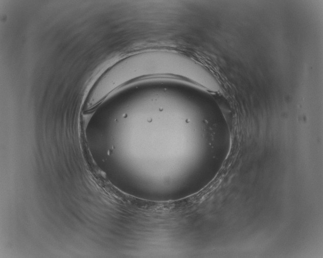 X0000073720148200608241240