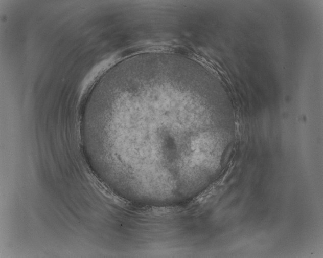 X0000073720149200608241240