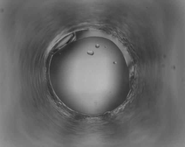 X0000073720150200608241240