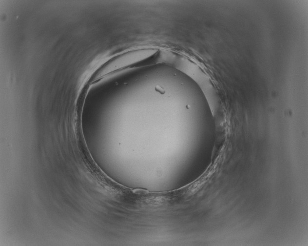 X0000073720152200608241240