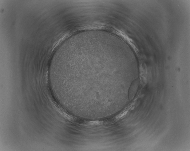 X0000073720153200608241240