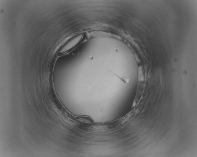 X0000073720154200608241240