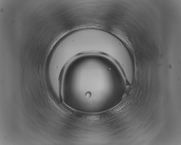 X0000073720156200608241240