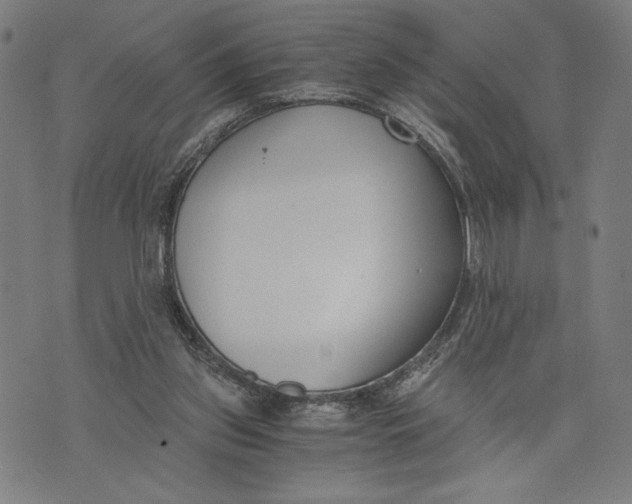 X0000073720157200608241240