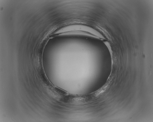 X0000073720158200608241240