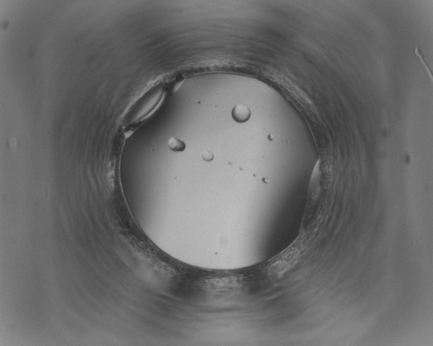 X0000073720160200608241241