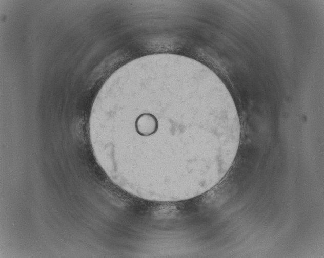 X0000073720162200608241241