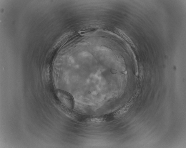 X0000073720163200608241241