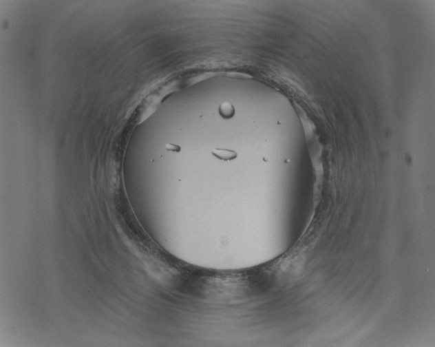 X0000073720164200608241241