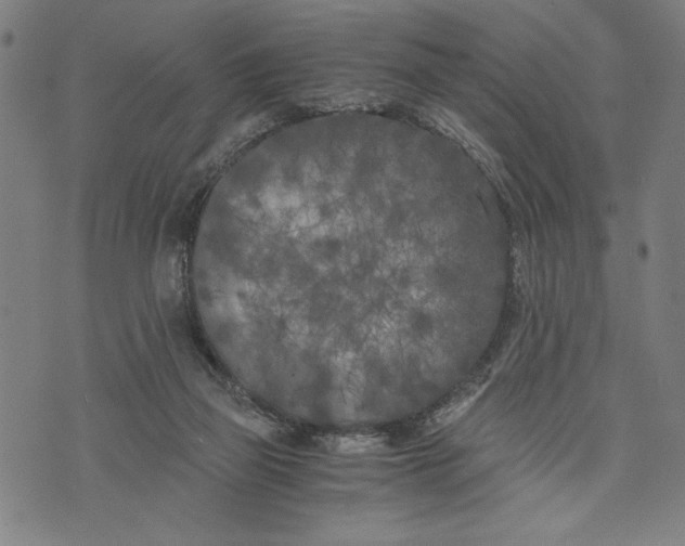 X0000073720165200608241241