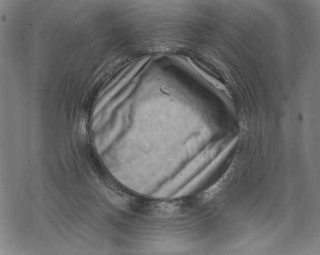 X0000073720166200608241241