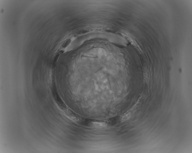 X0000073720167200608241241