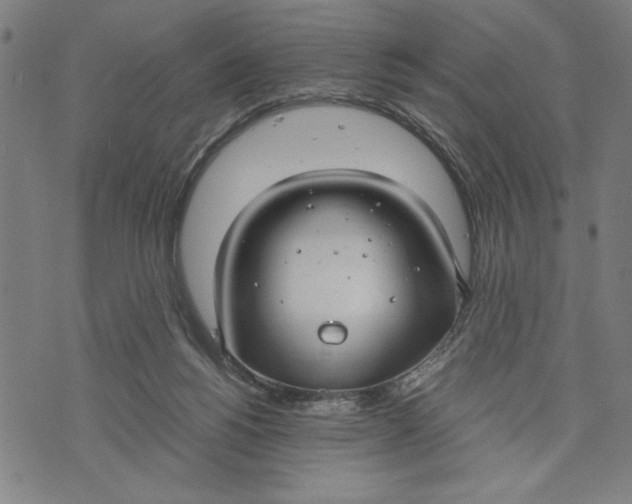 X0000073720168200608241241