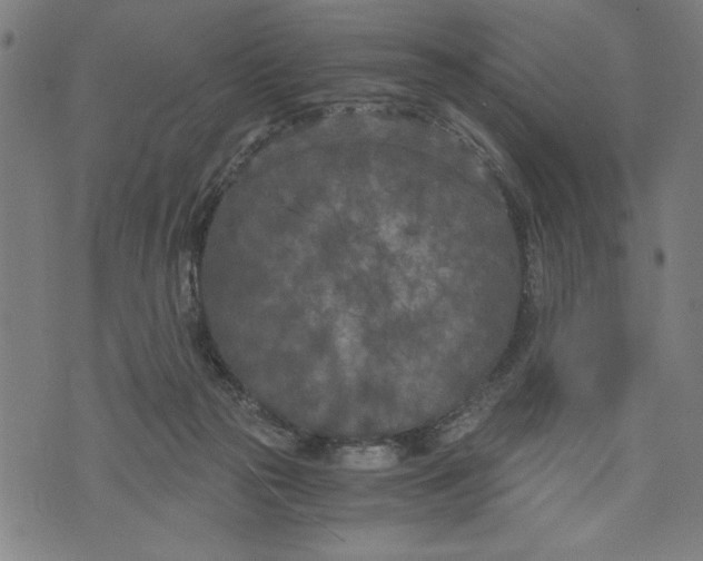 X0000073720169200608241241