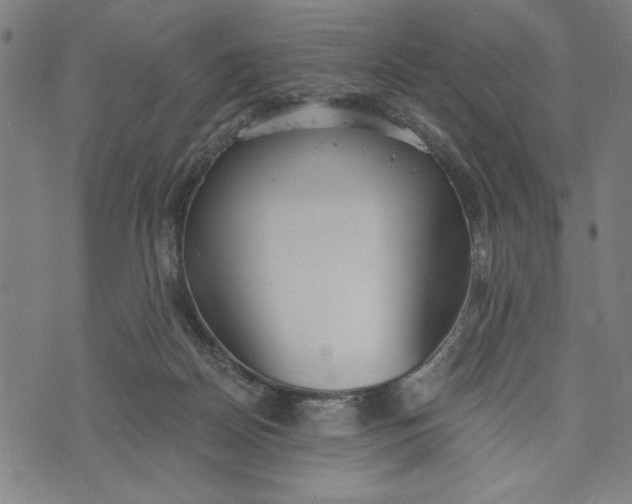 X0000073720170200608241241