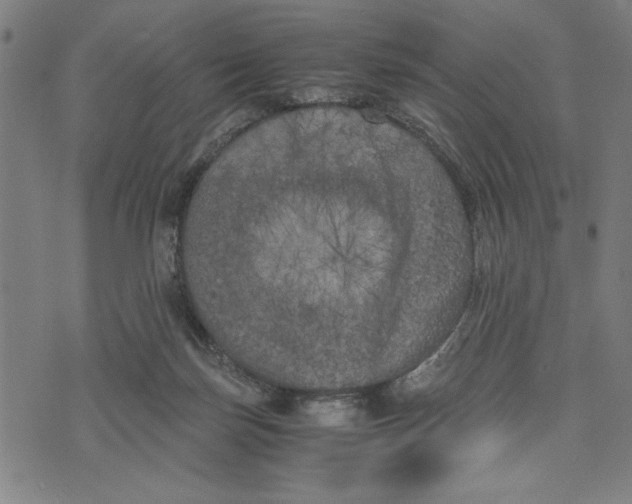 X0000073720171200608241241