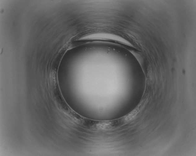 X0000073720172200608241241