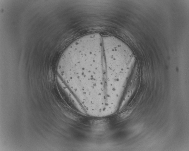 X0000073720173200608241241