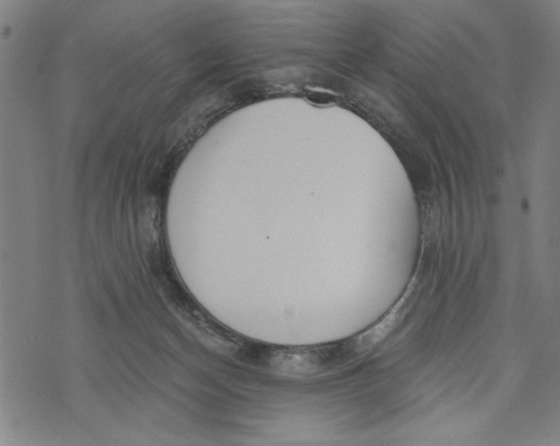 X0000073720174200608241241