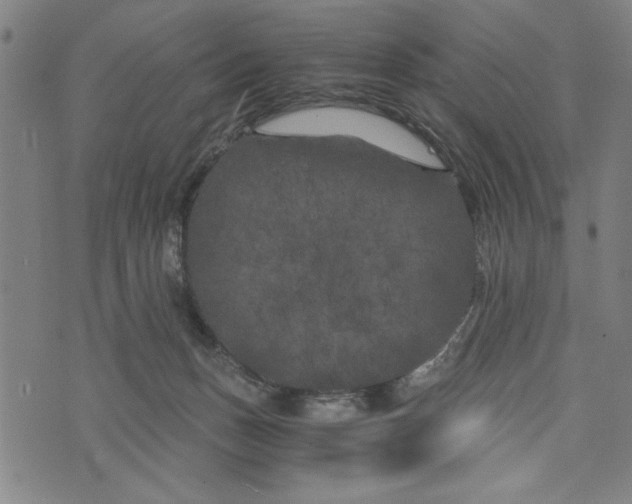 X0000073720175200608241241