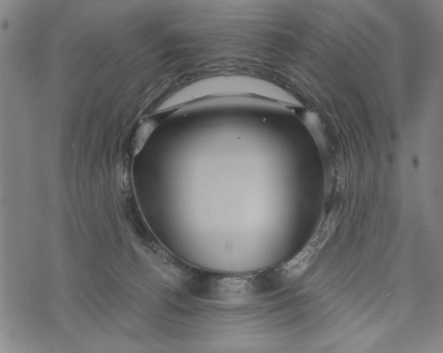 X0000073720176200608241241