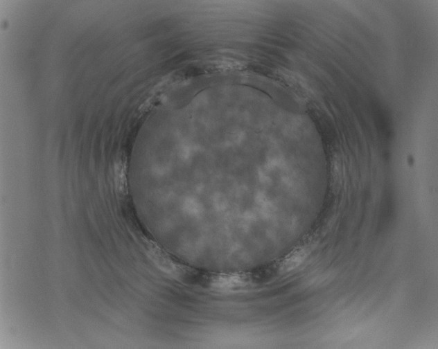 X0000073720177200608241241