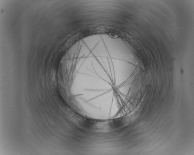 X0000073720178200608241241