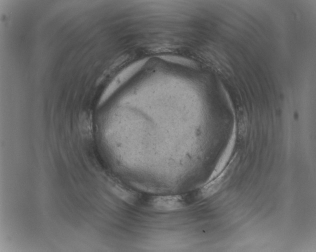 X0000073720179200608241241