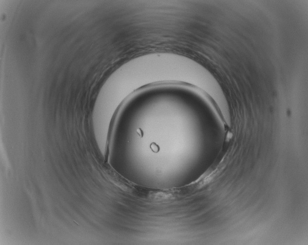 X0000073720180200608241241