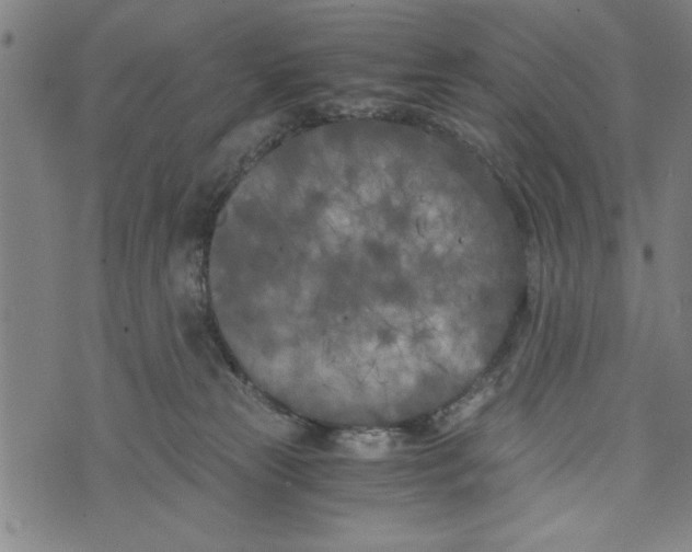 X0000073720181200608241241