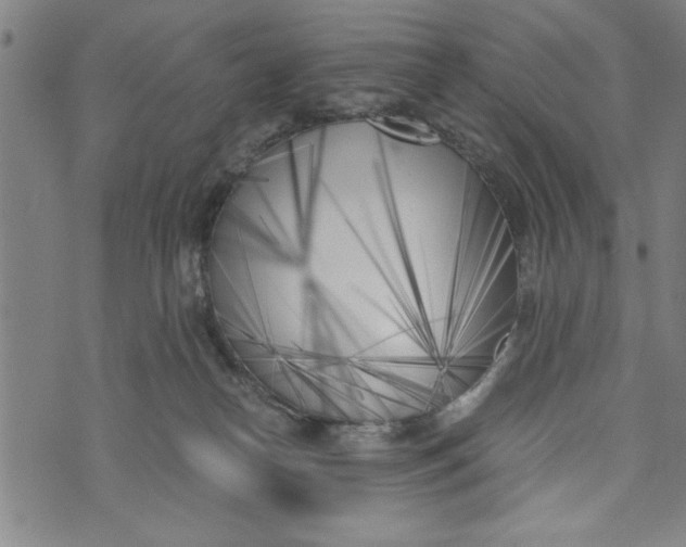 X0000073720182200608241241