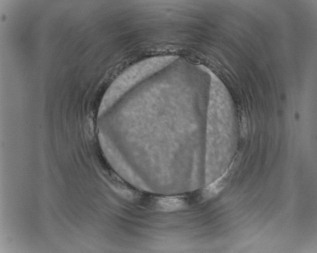 X0000073720183200608241241