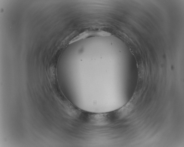 X0000073720184200608241241